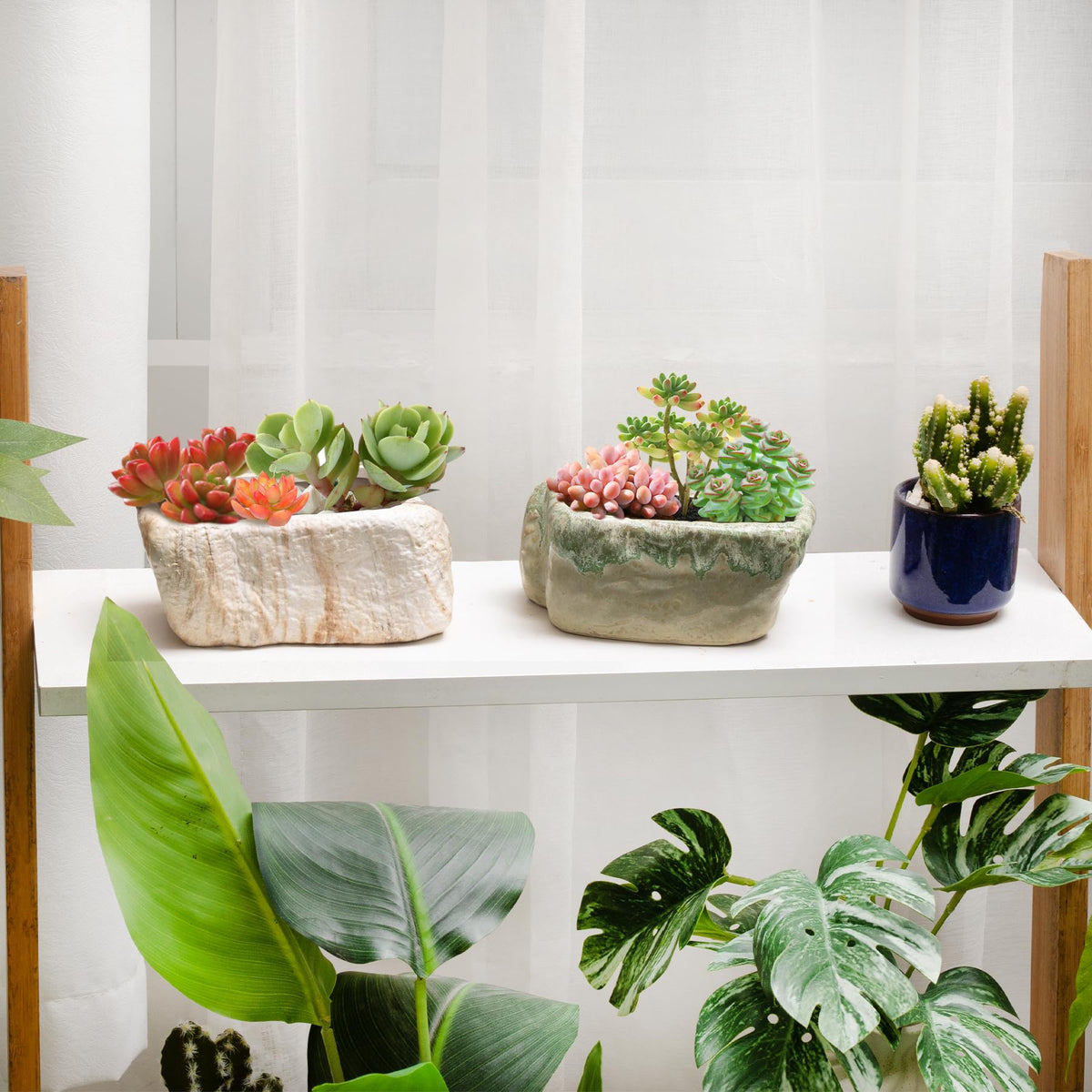 T4U pot measures 5.3 x 2.5 x 2.4 inches for compact succulents