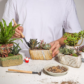 T4U pot features a drainage hole to support healthy, well-drained plants