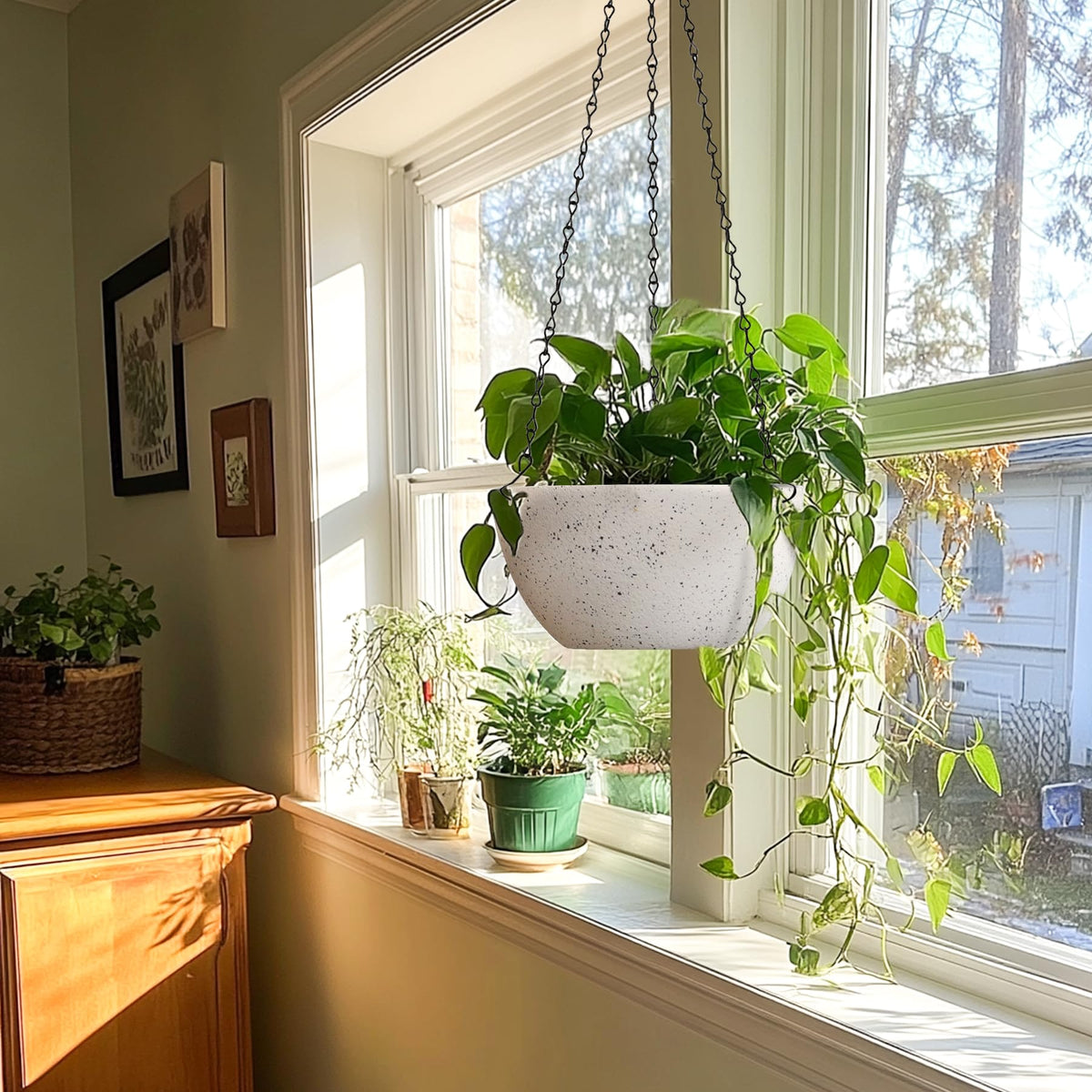 T4U drainage-hole hanging pot with removable plugs for clean spaces.