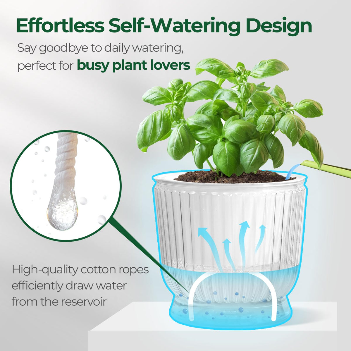 T4U durable, non-toxic material keeps plants safe in any season.
