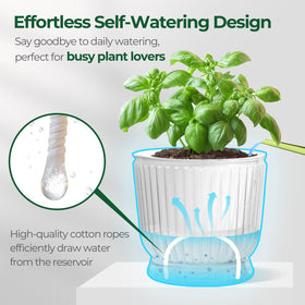 T4U durable, non-toxic material keeps plants safe in any season.