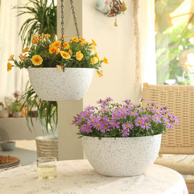 T4U easy-clean plastic planter offering low-maintenance plant care.