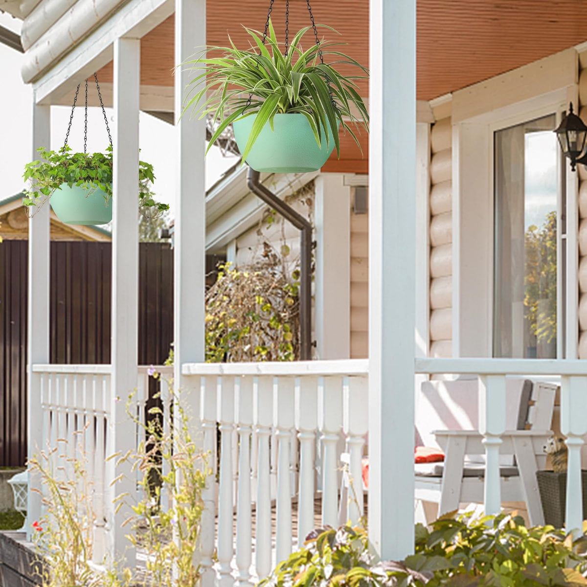 T4U hanging basket displays ferns ivy and spider plants beautifully.