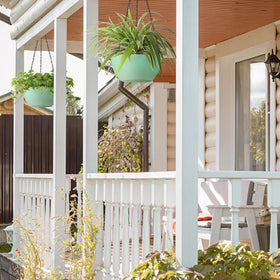 T4U hanging basket displays ferns ivy and spider plants beautifully.