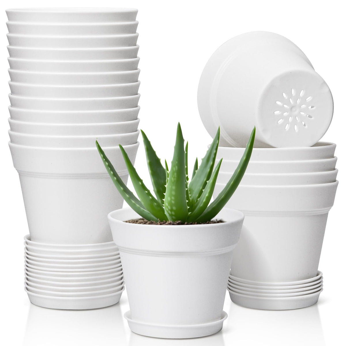 T4U 5-inch flower pot with saucer for easy indoor succulents care.
