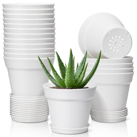 T4U 5-inch flower pot with saucer for easy indoor succulents care.