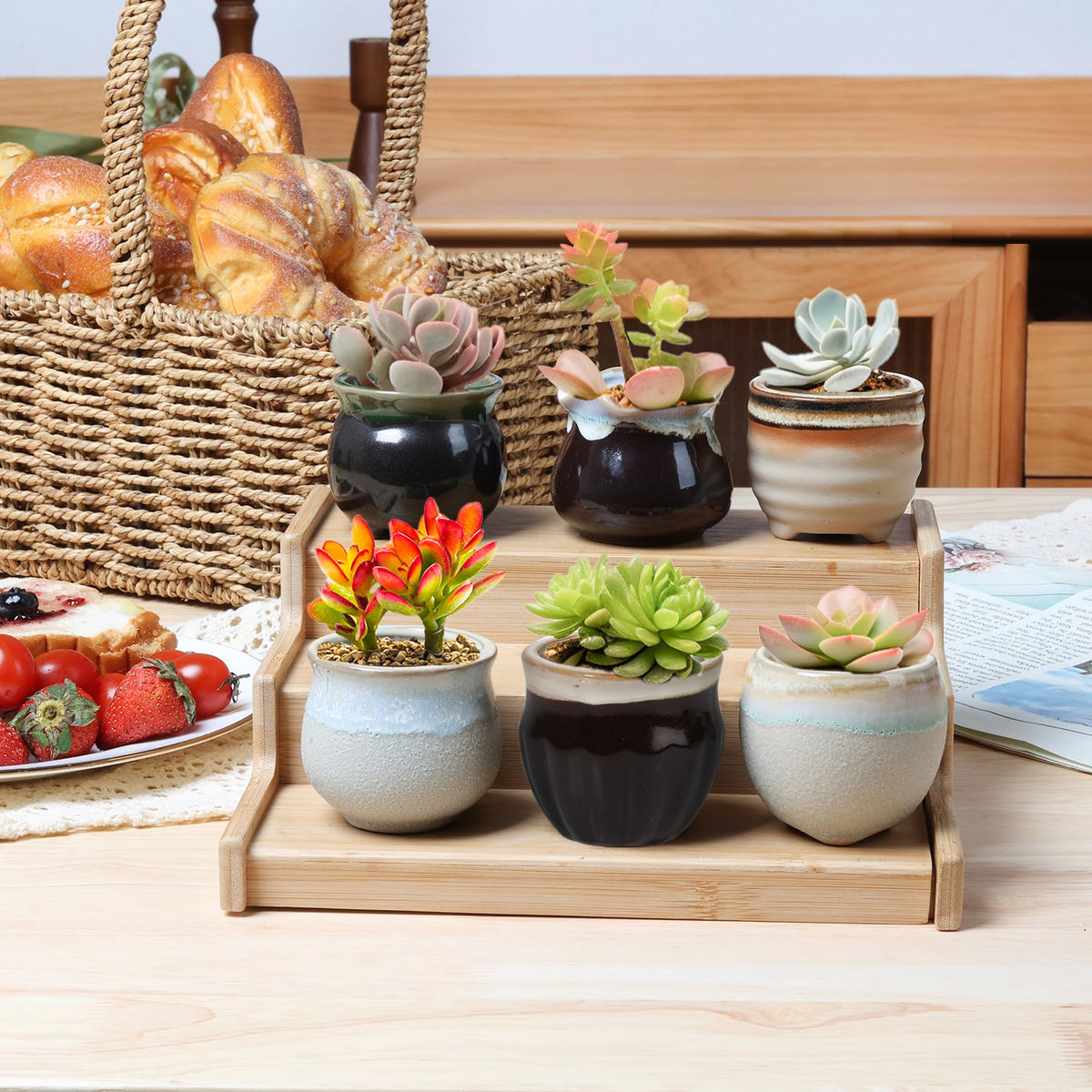 T4U gift-ready mini pots ideal for plant lovers and small spaces.