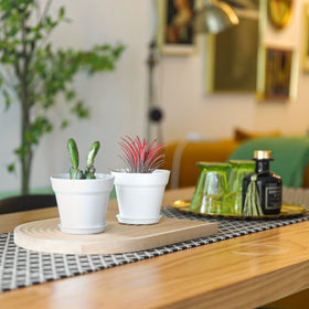 T4U gift-ready plant pot bulk pack for plant lovers.