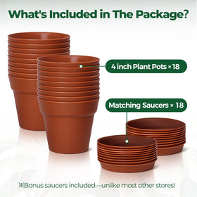T4U gift-ready plant pots bulk, perfect for plant lovers.