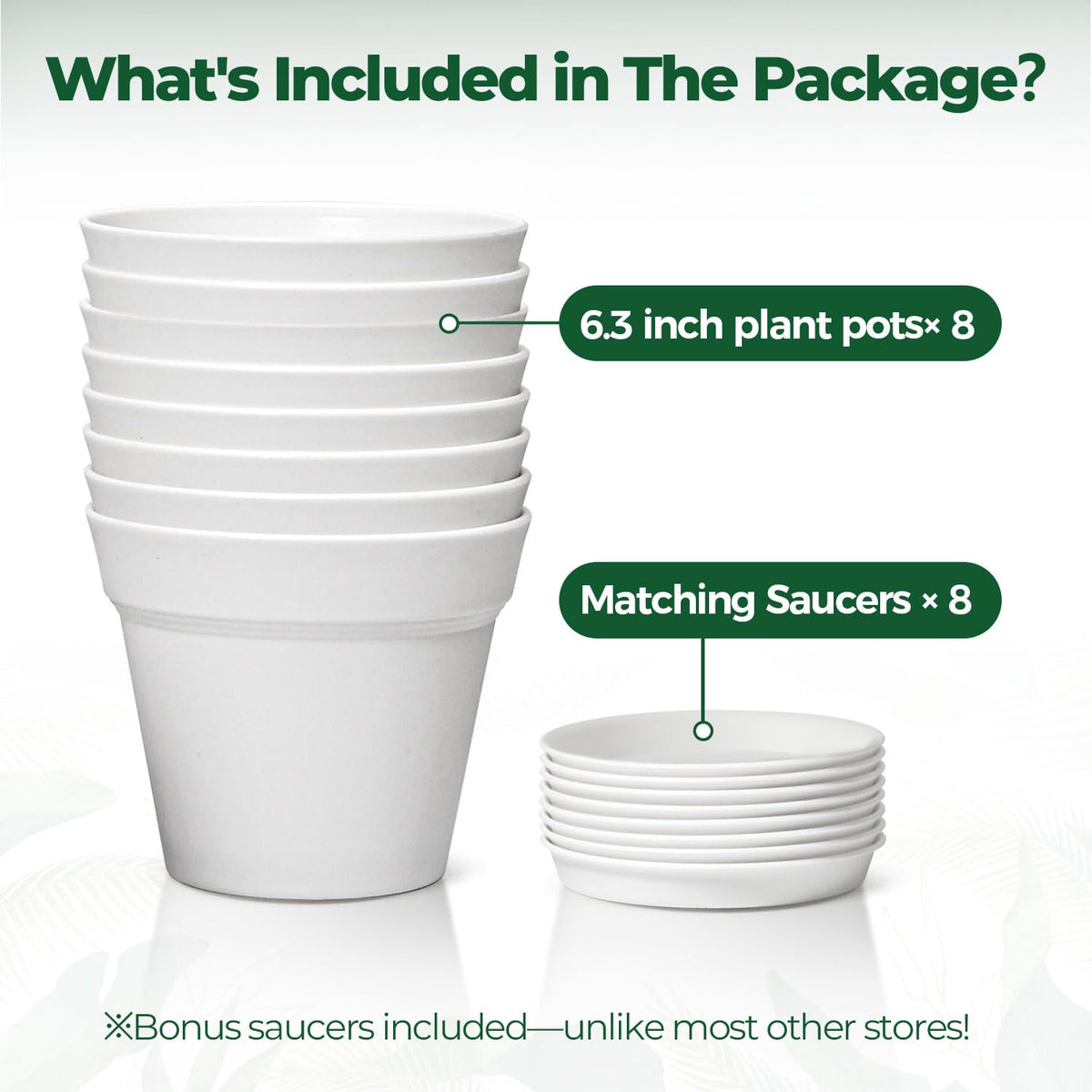 T4U gift-ready plant pots ideal for plant lovers.