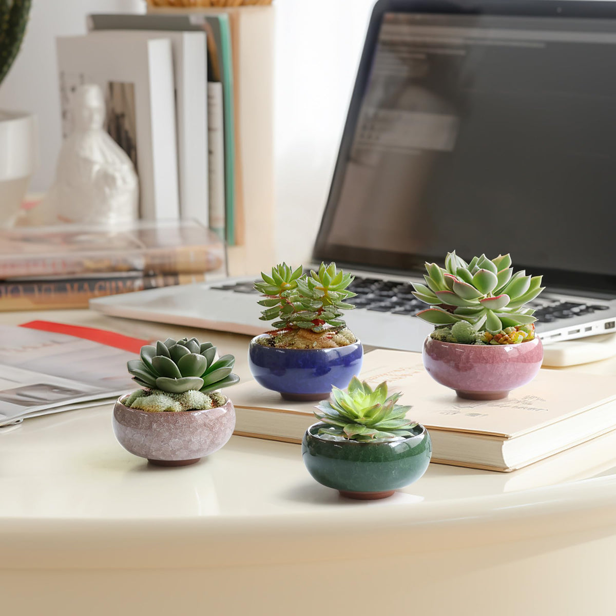 T4U giftable ceramic planters set for plant lovers.