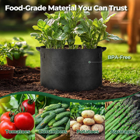 T4U grow bags with reinforced handles ready for easy transport and lifting.