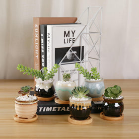 T4U handcrafted mini planters blend craft with plant care.