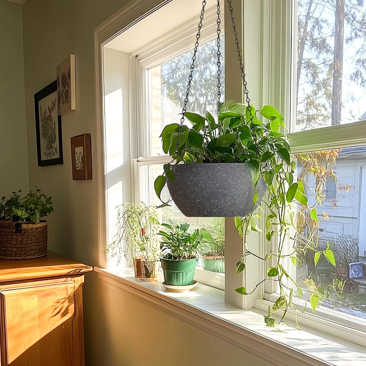 T4U 2-in-1 planter can hang or sit on a table for flexible display.