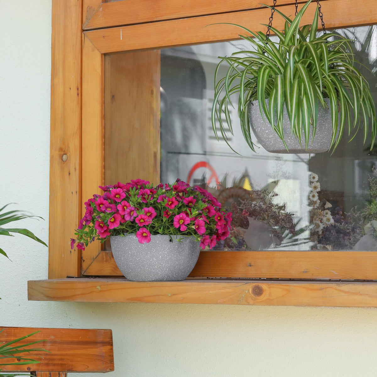 T4U indoor outdoor planter perfect for ferns or ivy.