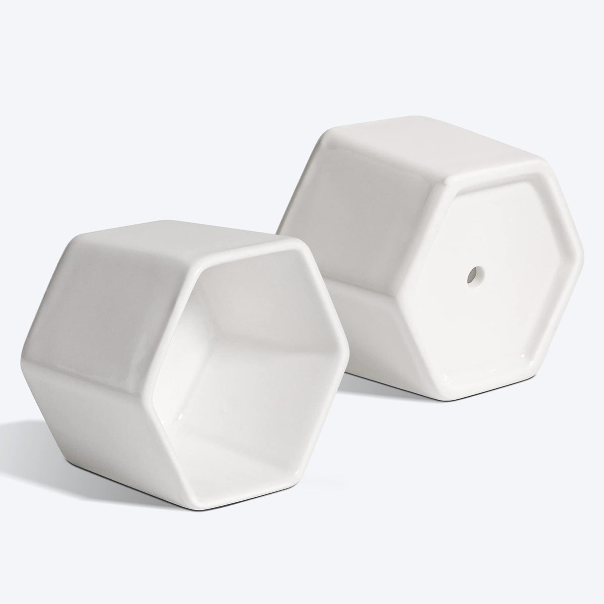 T4U Hexagon Planters for cacti and succulents in home décor.