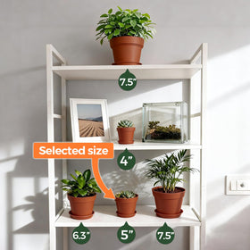 T4U versatile small pots suitable for indoor or outdoor display.
