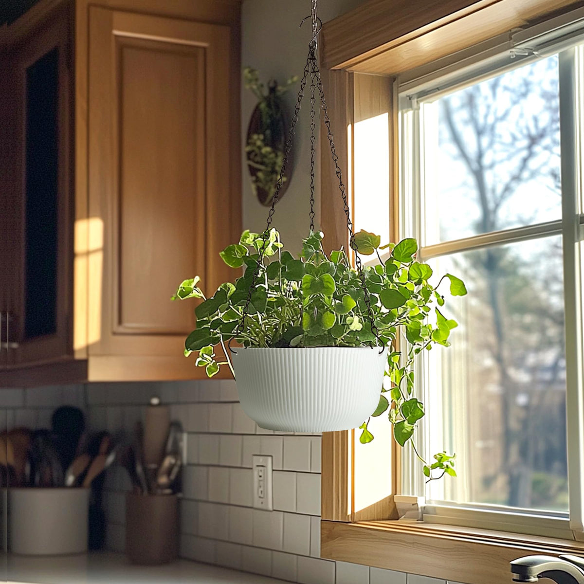 T4U white hanging planters fit modern indoor and outdoor spaces