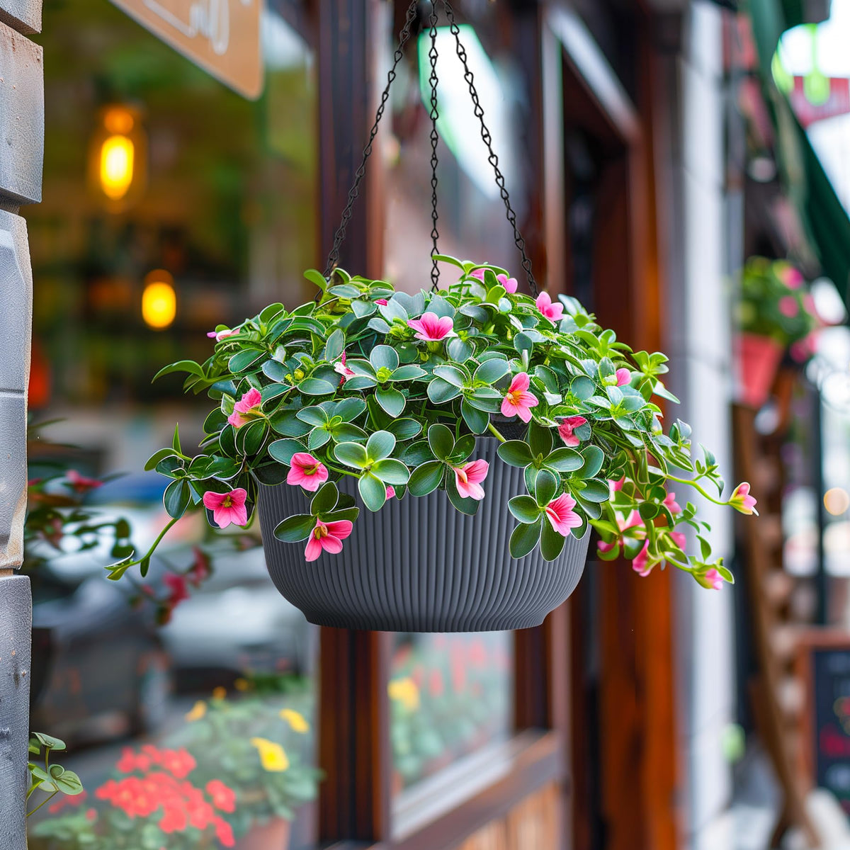 T4U planter on a windowsill for indoor greenery