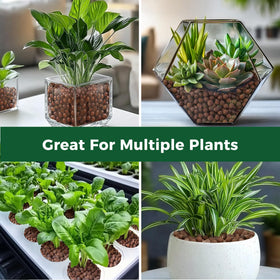 T4U Leca pebbles indoor-garden use keep pots tidy.