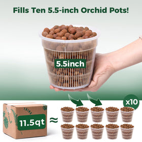 T4U Leca pebbles moisture-holding design aiding steady hydration for orchids