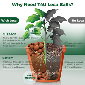 T4U Leca pebbles ideal for orchid potting in a decorative container