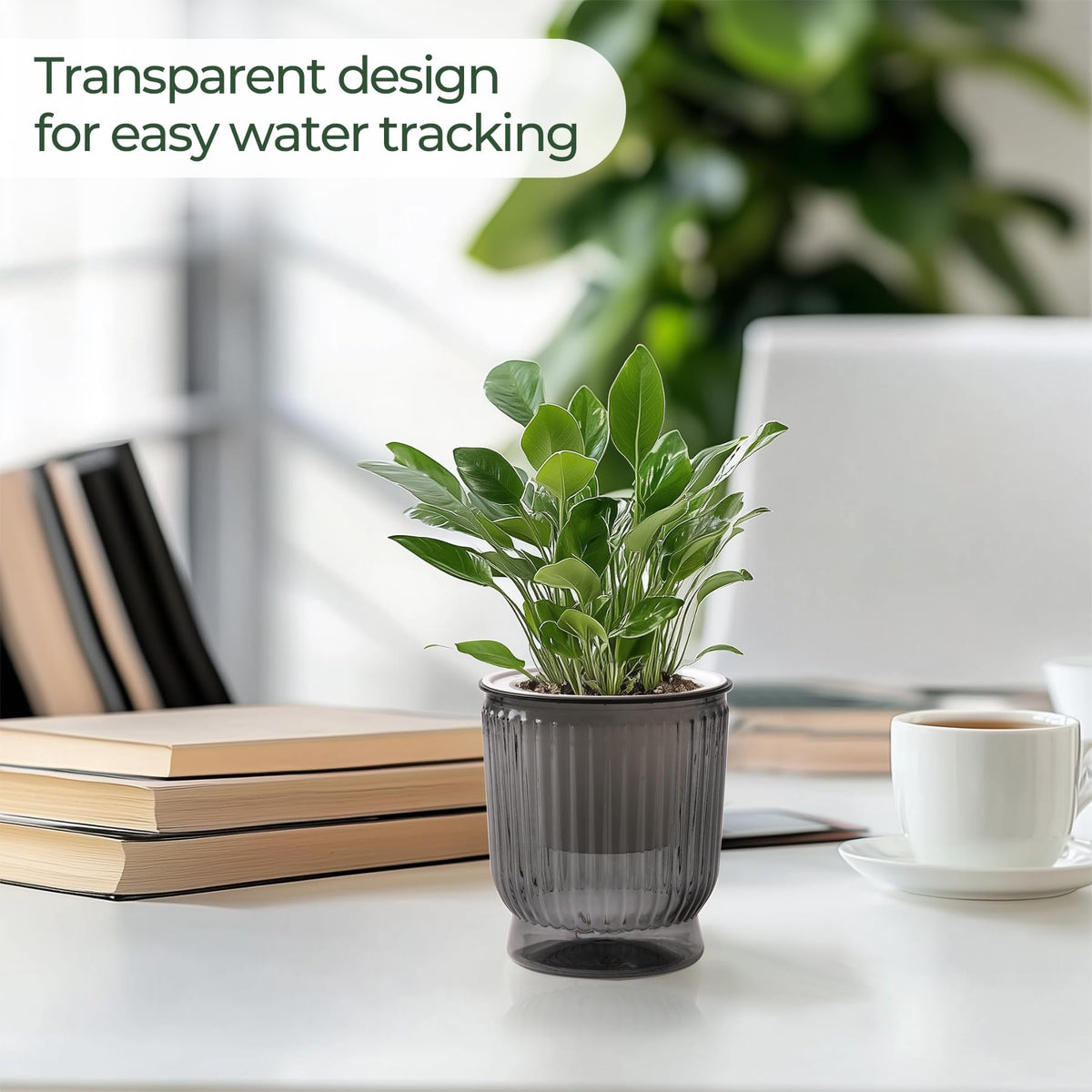 T4U lightweight easy-clean 4 inch pot makes rearranging plants simple.