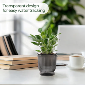 T4U lightweight easy-clean 4 inch pot makes rearranging plants simple.