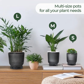 T4U lightweight design makes rearranging plants simple.