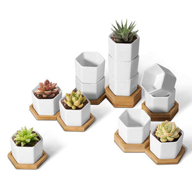 T4U Mini White Hexagon Ceramic Planter close-up highlighting modern desk decor.