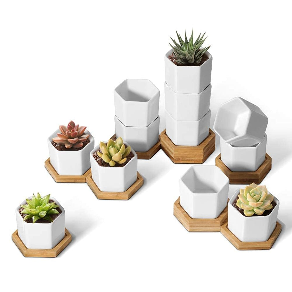 T4U Mini White Hexagon Ceramic Planter close-up highlighting modern desk decor.