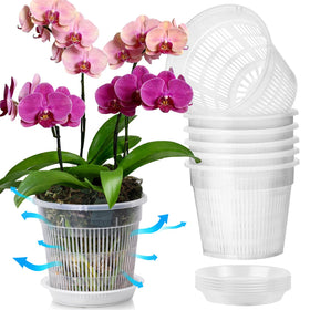 T4U orchid pot 6.3-inch clear with holes for optimal airflow.