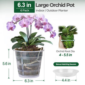 T4U orchid pot with holes for efficient drainage.