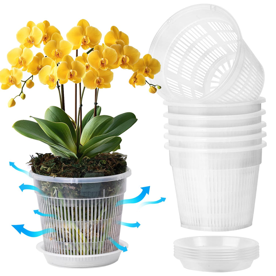 T4U orchid pot with holes and clear walls for easy root checks
