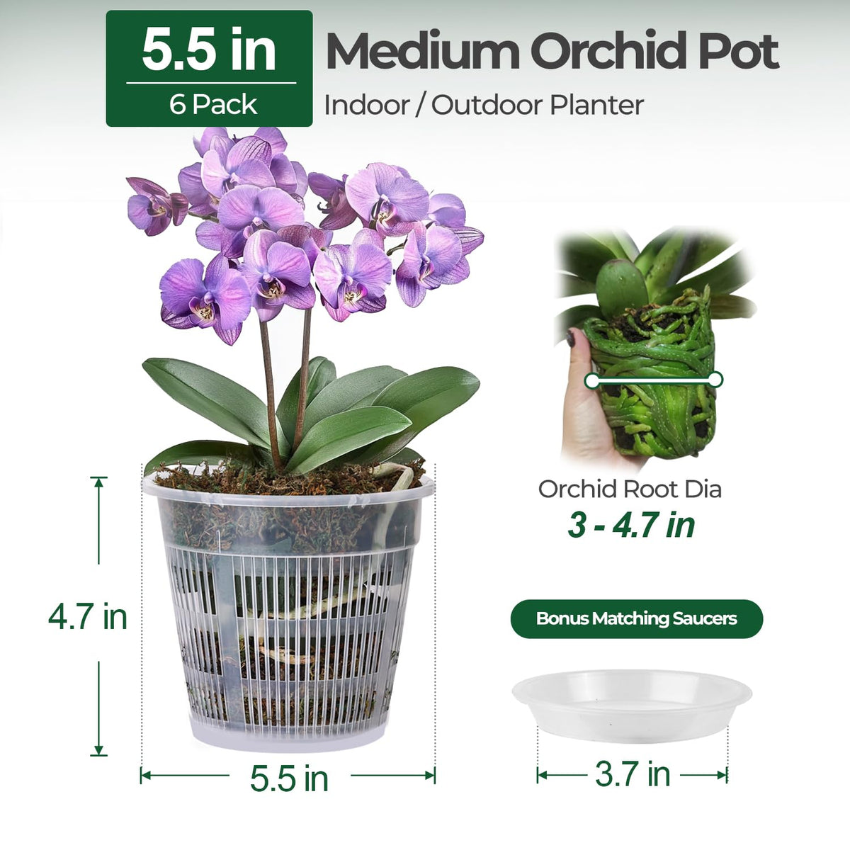 T4U 5.5-inch clear pot highlights drainage holes for airflow