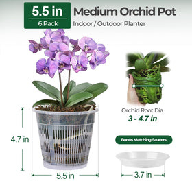 T4U 5.5-inch clear pot highlights drainage holes for airflow