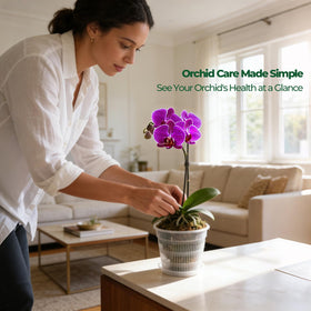 T4U clear pot design supports visible moisture levels