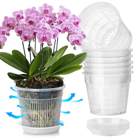 T4U orchid pot 7.5 inch with holes for improved airflow