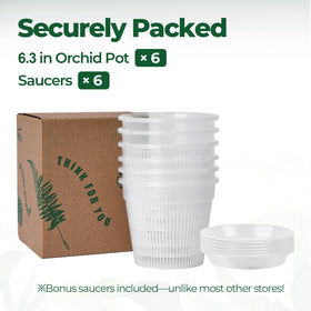 T4U clear pot helps monitor soil moisture and roots.