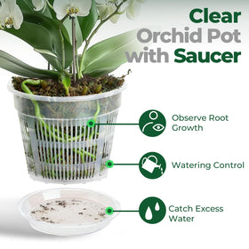 T4U six-pack 6.3-inch pots ideal for repotting indoors or outdoors.