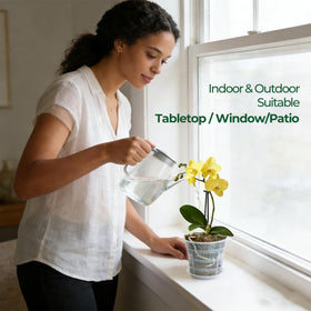 T4U clear pot helps monitor soil moisture at a glance.