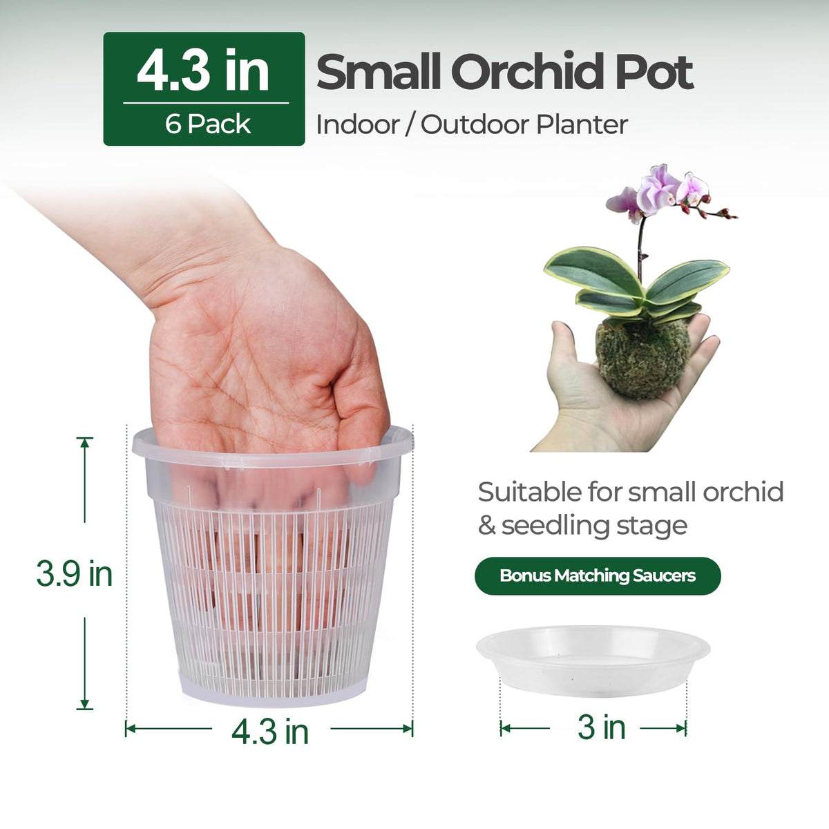 T4U orchid pot with holes and saucer keeps drainage mess-free and tidy.