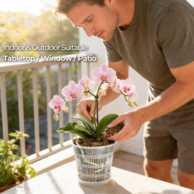 T4U pot’s transparent walls reveal root growth and hydration.