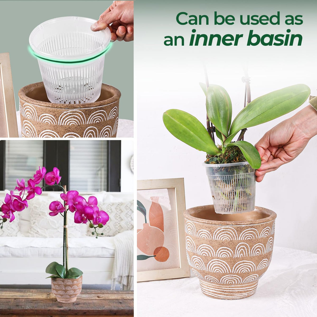 T4U 4.3-inch pot suitable for repotting orchids and similar houseplants.