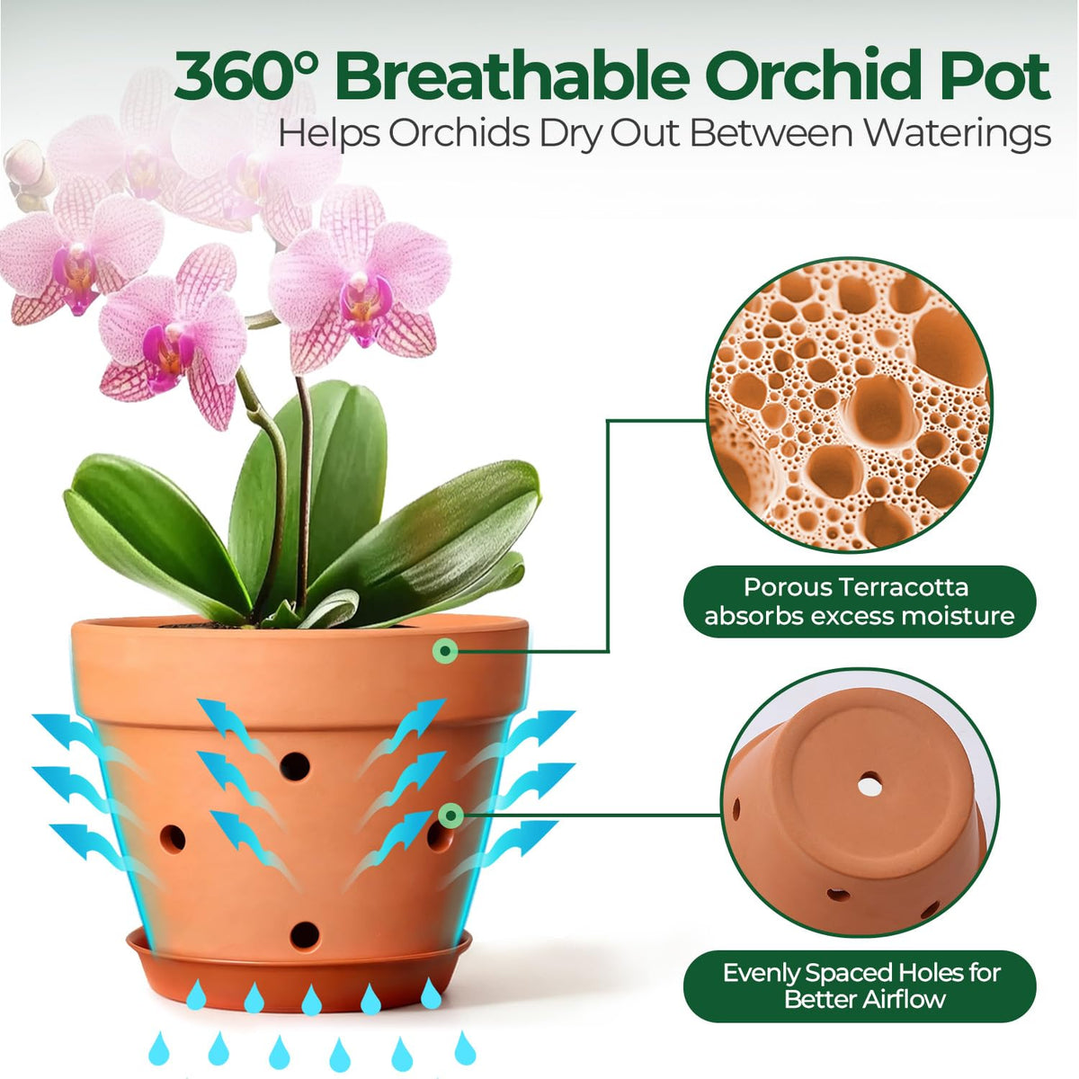T4U orchid pot terracotta 6in closeup of porous texture