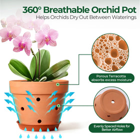 T4U orchid pot terracotta 6in closeup of porous texture