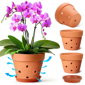 T4U orchid pot terracotta 6in front view, classic display for orchids