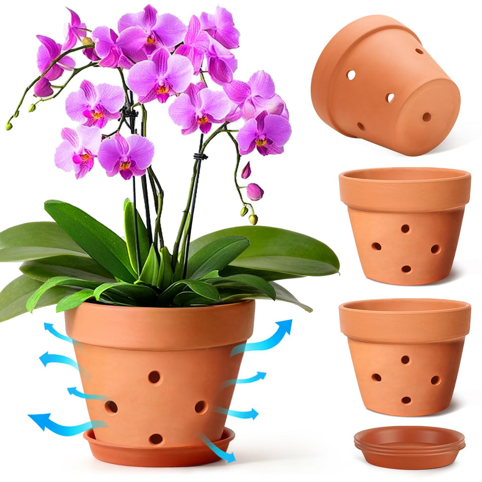 T4U orchid pot terracotta 6in front view, classic display for orchids
