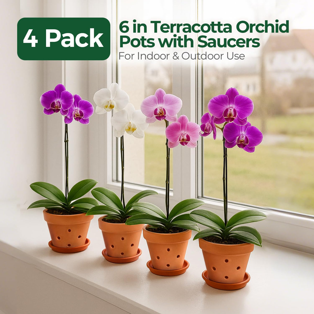 T4U orchid pot terracotta 6in suitable for covered outdoor spaces