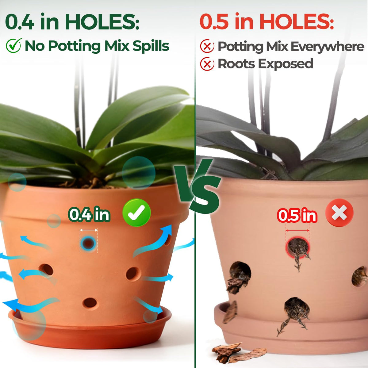 T4U orchid pot terracotta 6in with saucer to prevent spills